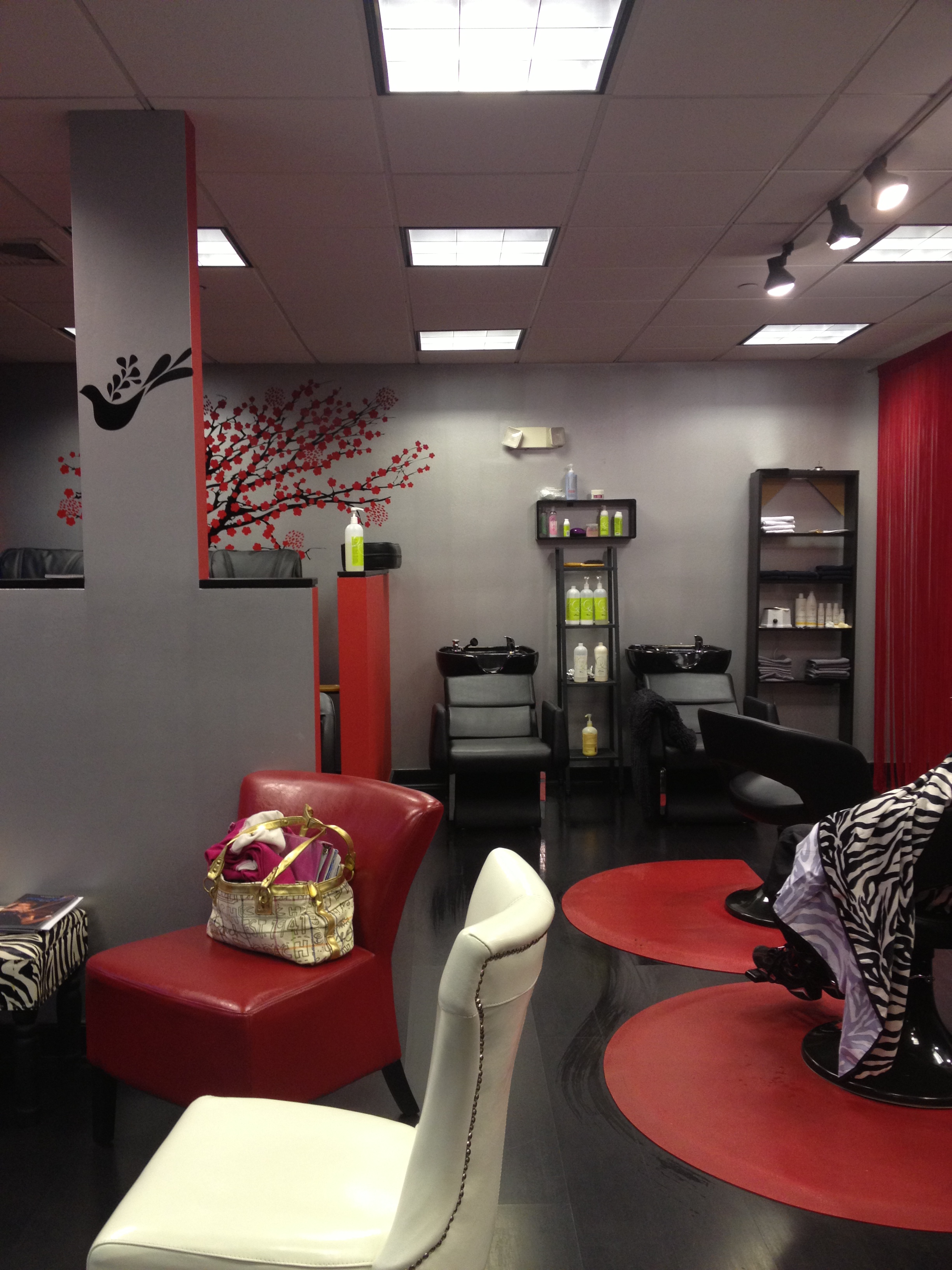 natural hair salon in new haven ct