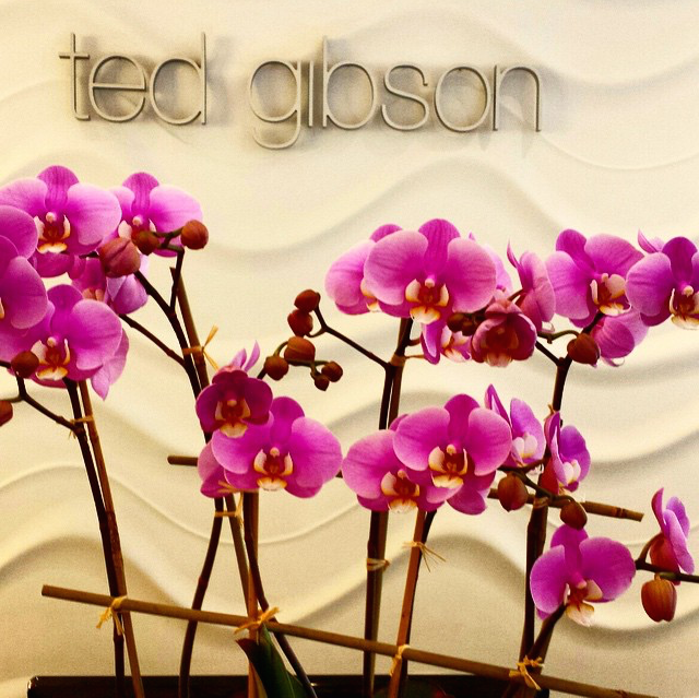 curls-understood-ted-gibson-new-york-12