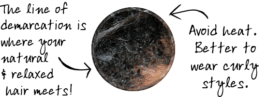 Curls-Understood-transition-close-up