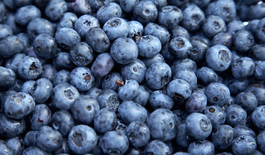 The Benefits of Blueberries on Hair | Curls Understood