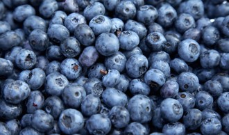 blueberries hair growth