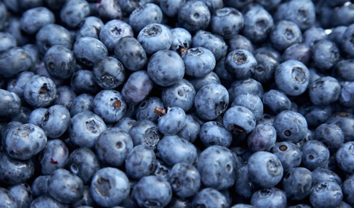 The Benefits of Blueberries on Hair | Curls Understood